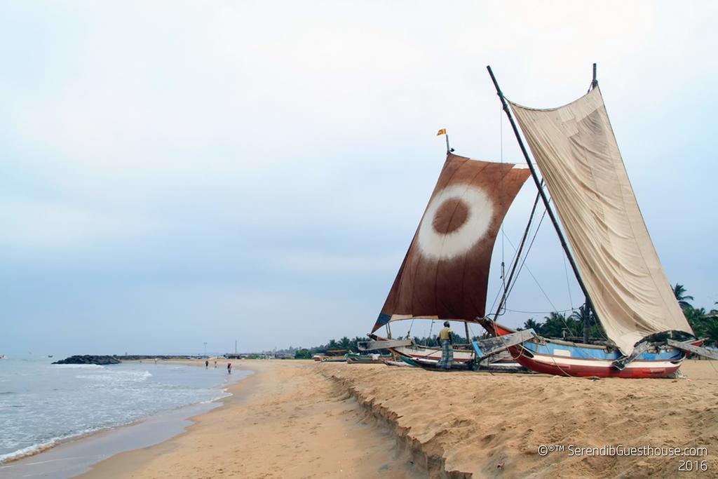 Serendib Guest House Negombo Bagian luar foto