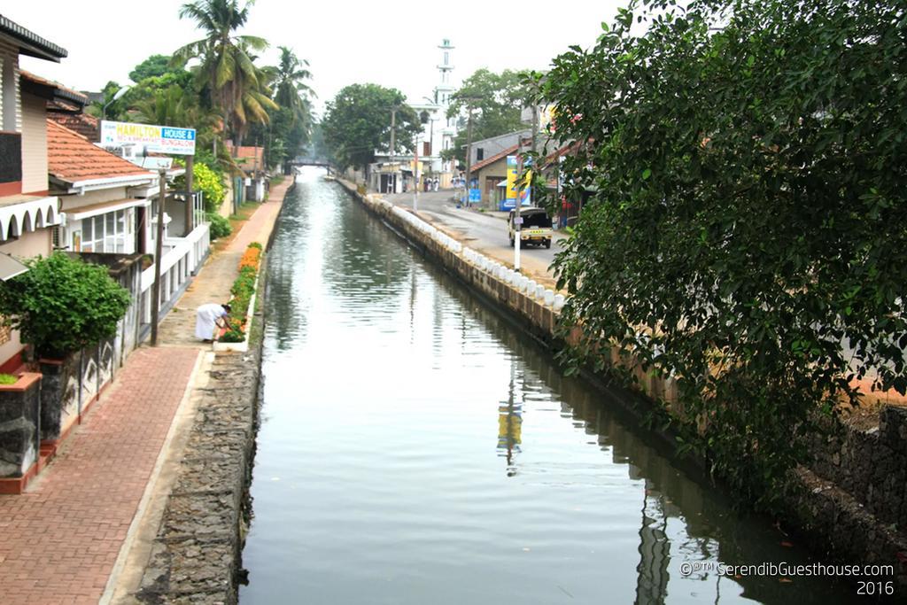 Serendib Guest House Negombo Bagian luar foto