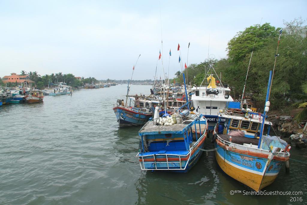Serendib Guest House Negombo Bagian luar foto