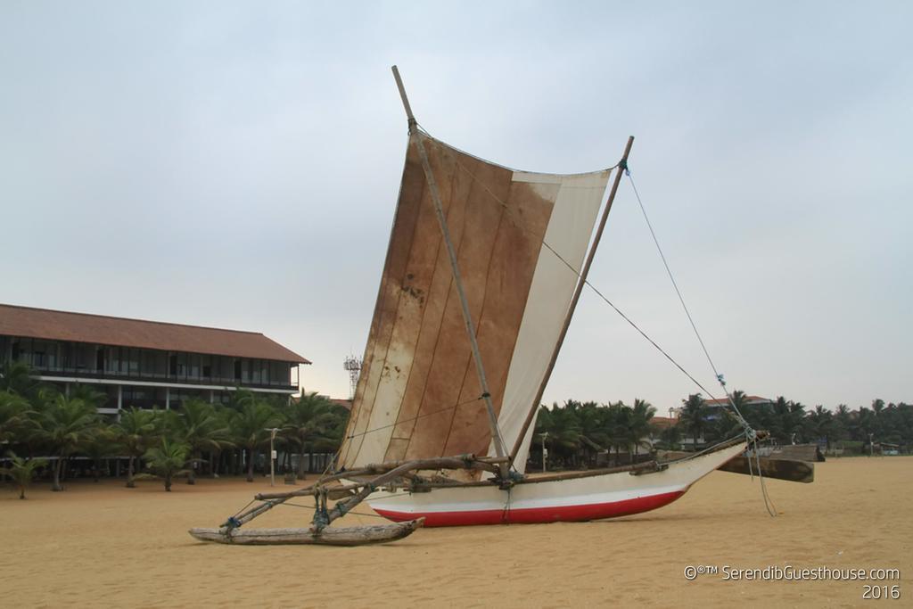 Serendib Guest House Negombo Bagian luar foto