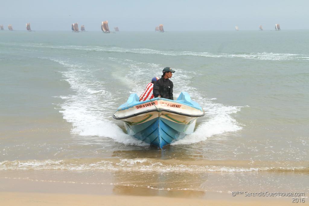 Serendib Guest House Negombo Bagian luar foto