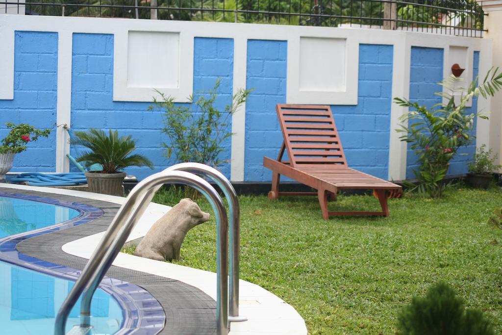 Serendib Guest House Negombo Bagian luar foto